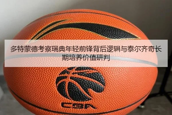 多特蒙德考察瑞典年轻前锋背后逻辑与泰尔齐奇长期培养价值研判